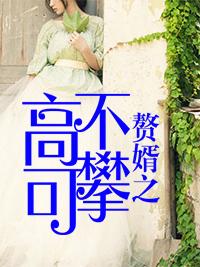 赘婿之高不可攀 赘婿之高不可攀