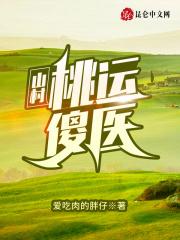 山村桃运傻医 山村桃运傻医