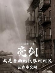 亮剑!我是晋西北战狼团团长 亮剑!我是晋西北战狼团团长