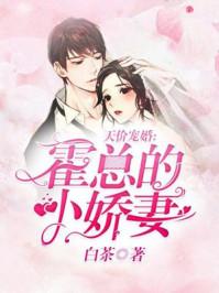 天价宠婚:霍总的小娇妻 天价宠婚:霍总的小娇妻