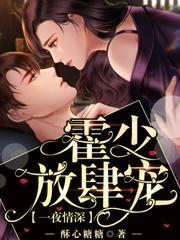 一夜情深:霍少放肆宠 一夜情深:霍少放肆宠