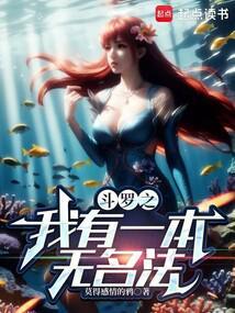 斗罗之我有一本无名法 斗罗之我有一本无名法