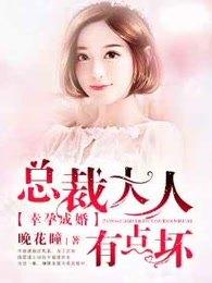 幸孕成婚:总裁大人有点坏 幸孕成婚:总裁大人有点坏